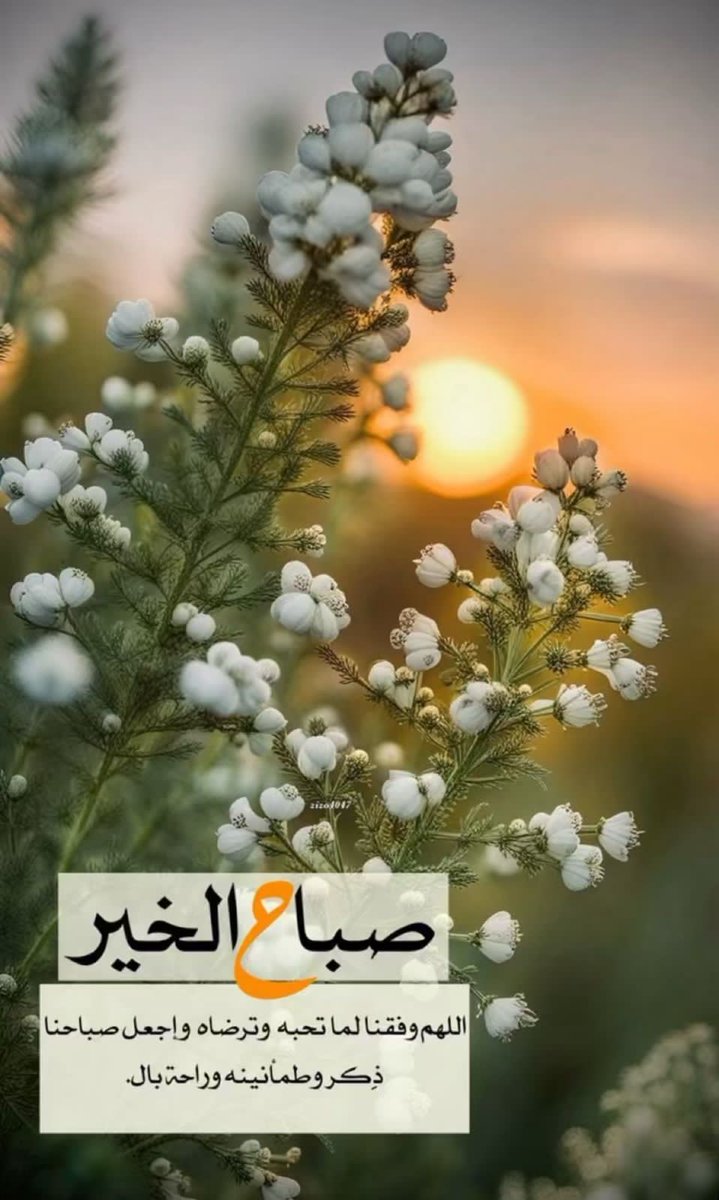 <a href="/JAldqrawy24089/">رحال رحال</a> يارب بركة في العمر والعِلم والوقت والرزق، ونور في كل رحلة ومرحلة، ورضا في الخيارات والقرارات والعلاقات، وسلام مع الأقدار والأعمار، وحياة في تفاصيل الحياة