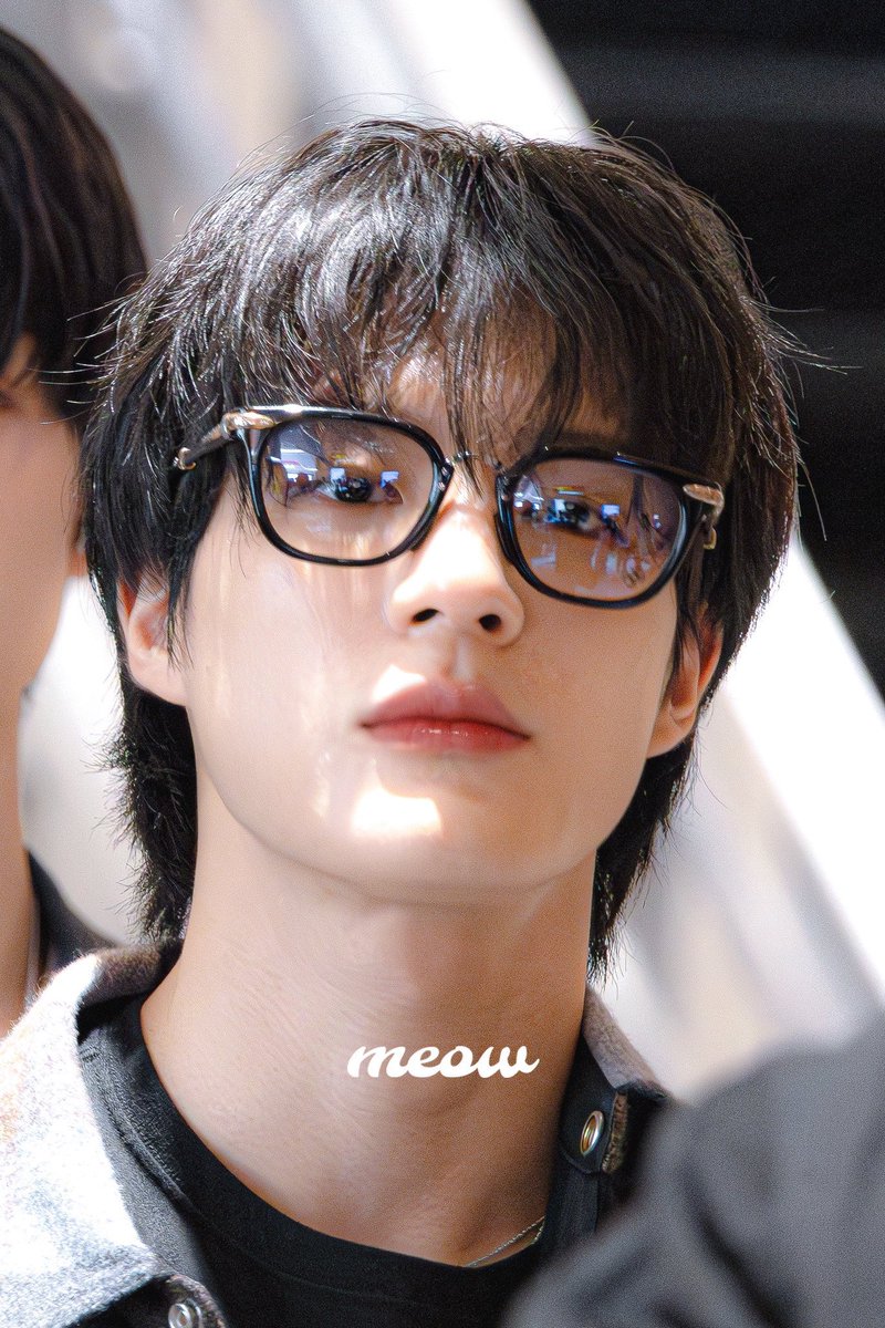 제노시 🤓