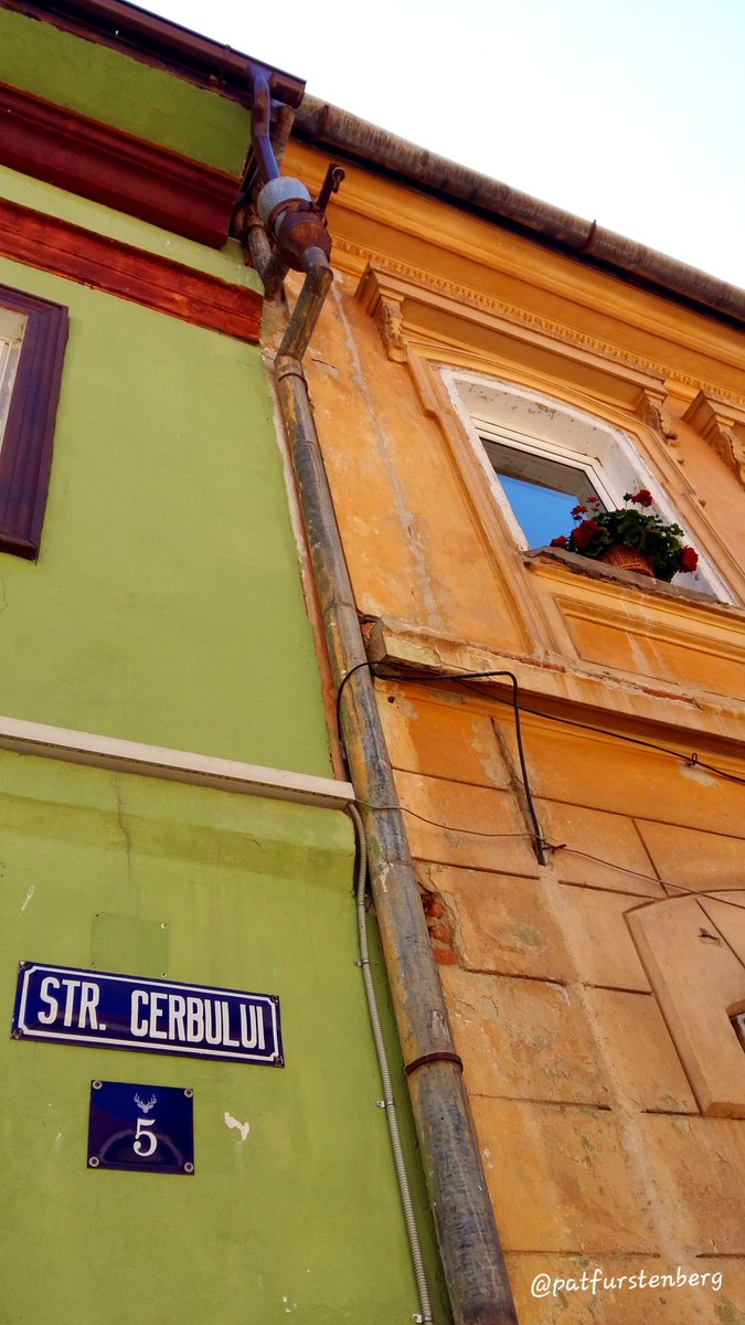 PatFurstenberg's tweet image. Historical Braşov, Old Town where Saxons once lived. 
Colourful houses. 

#WallsOnWednesday #WindowsOnWednesday #architecturelovers #Transylvania #Im4Ro