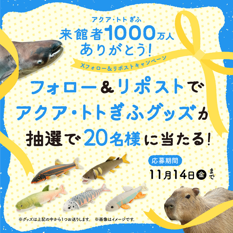 aquatotto's tweet photo. ／
アクア・トト ぎふ
来館者1000万人ありがとう！
＼
フォロー＆リポストで、アクア・トト ぎふグッズが抽選で20名様に当たる！

応募方法
① @aquatotto
をフォロー
② この投稿をリポスト
11/14（金）まで

応募要項など詳しくはHPをご確認ください。