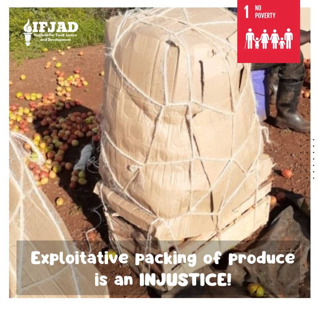 Institute for Food Justice and Development tweet media