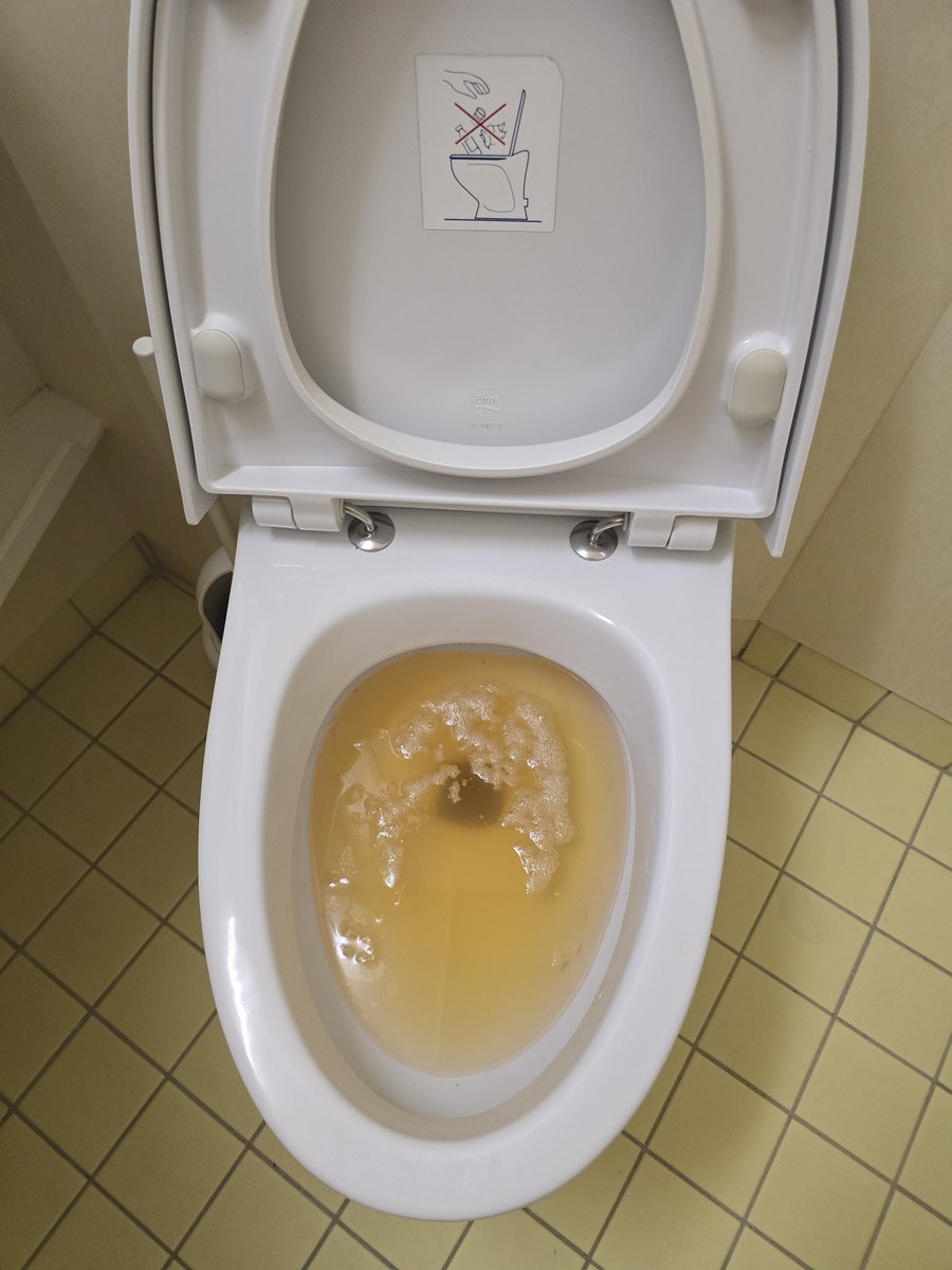 Was sollte ich tun, wenn die öffentliche Toilette so aussieht? Also die Schüssel war schon voll als ich reingekommen bin.