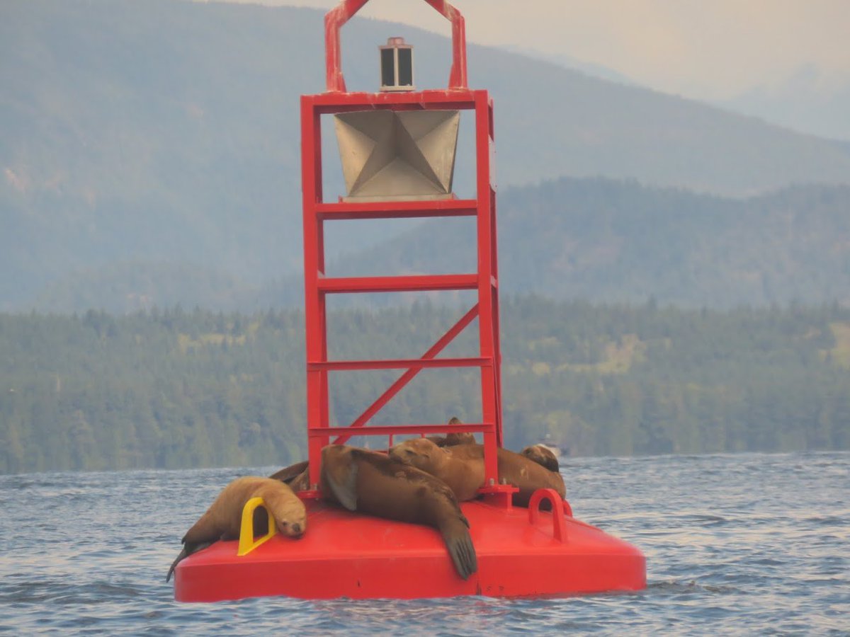 SplashOfAutumn tweet media