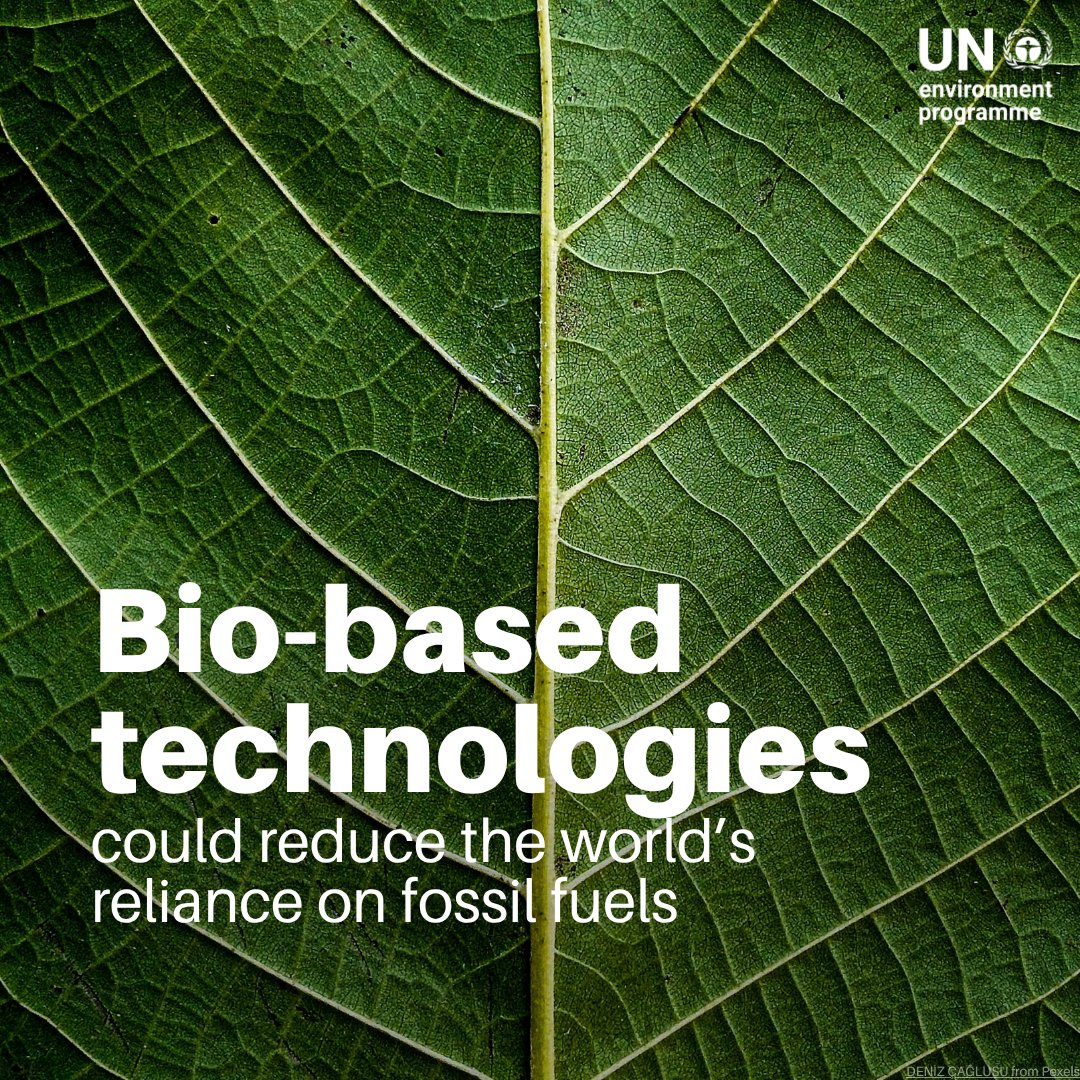 UN Environment Programme tweet media