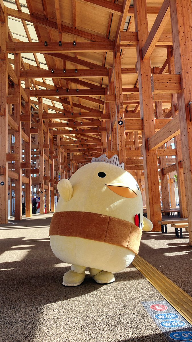 ぽんぽこ様 Imaginary Ponpoko - YouTube