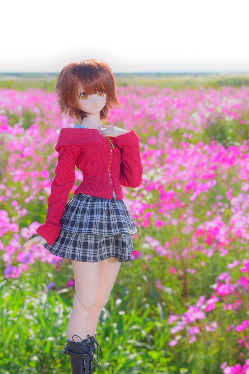 ニャーニャ・キャットタワー C107応募中 on X