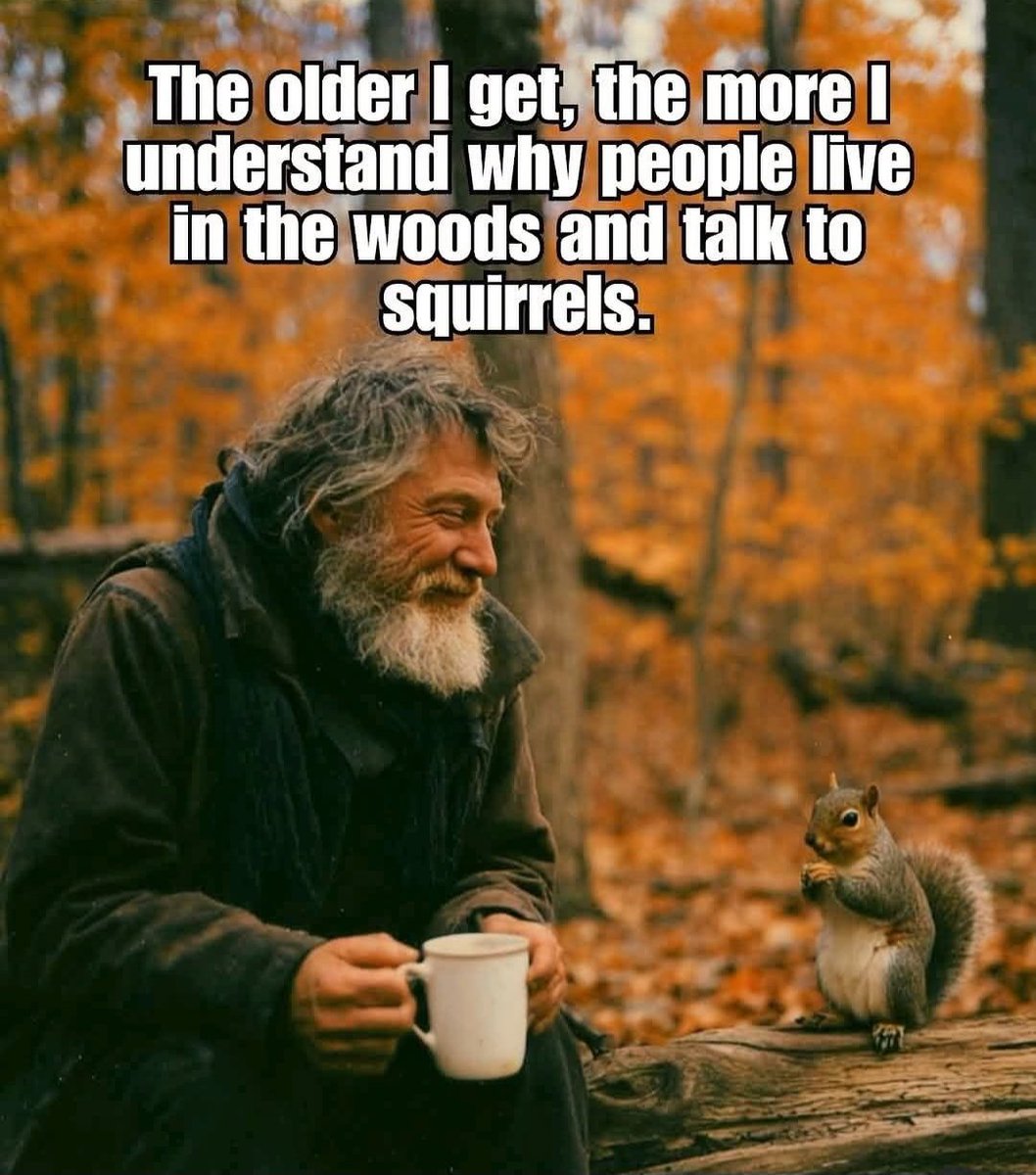 Patrick Turk tweet media