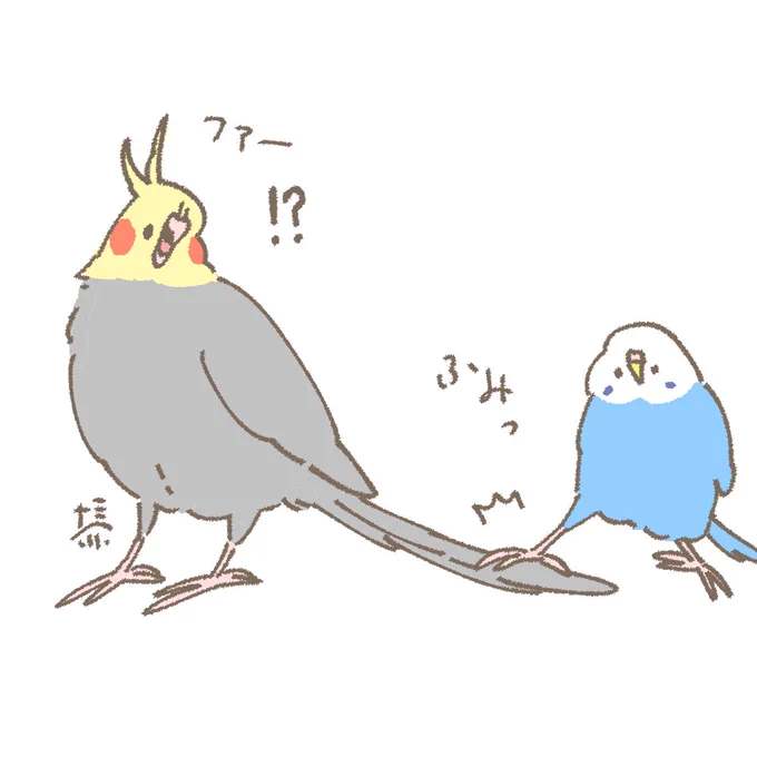おはようございます ☀️
10月30日(木)の朝です。

ついつい踏みたくなっちゃう 