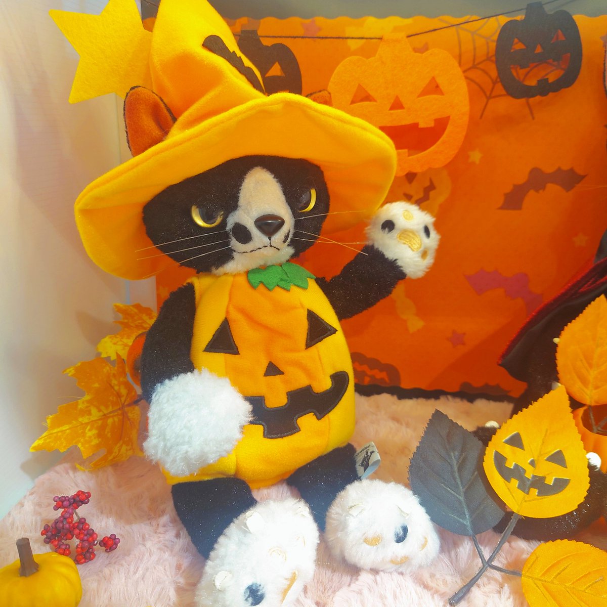 nipopomeow's tweet photo. #Scratchcat
マスコットサイズに続きこちらはぬいぐるみサイズ(MS、L)のぬい服になります🎃
コウモリリボンがかっこいいシルクハットセットはLサイズのみ
かぼちゃセットはMS、Lサイズがあります
👻🍭🎃🧙♀️🐈⬛
こちらも無くなり次第終了!⚠️
#池袋アルタ #ぬい服 #Halloween https://t.co/6jaoztWJ63