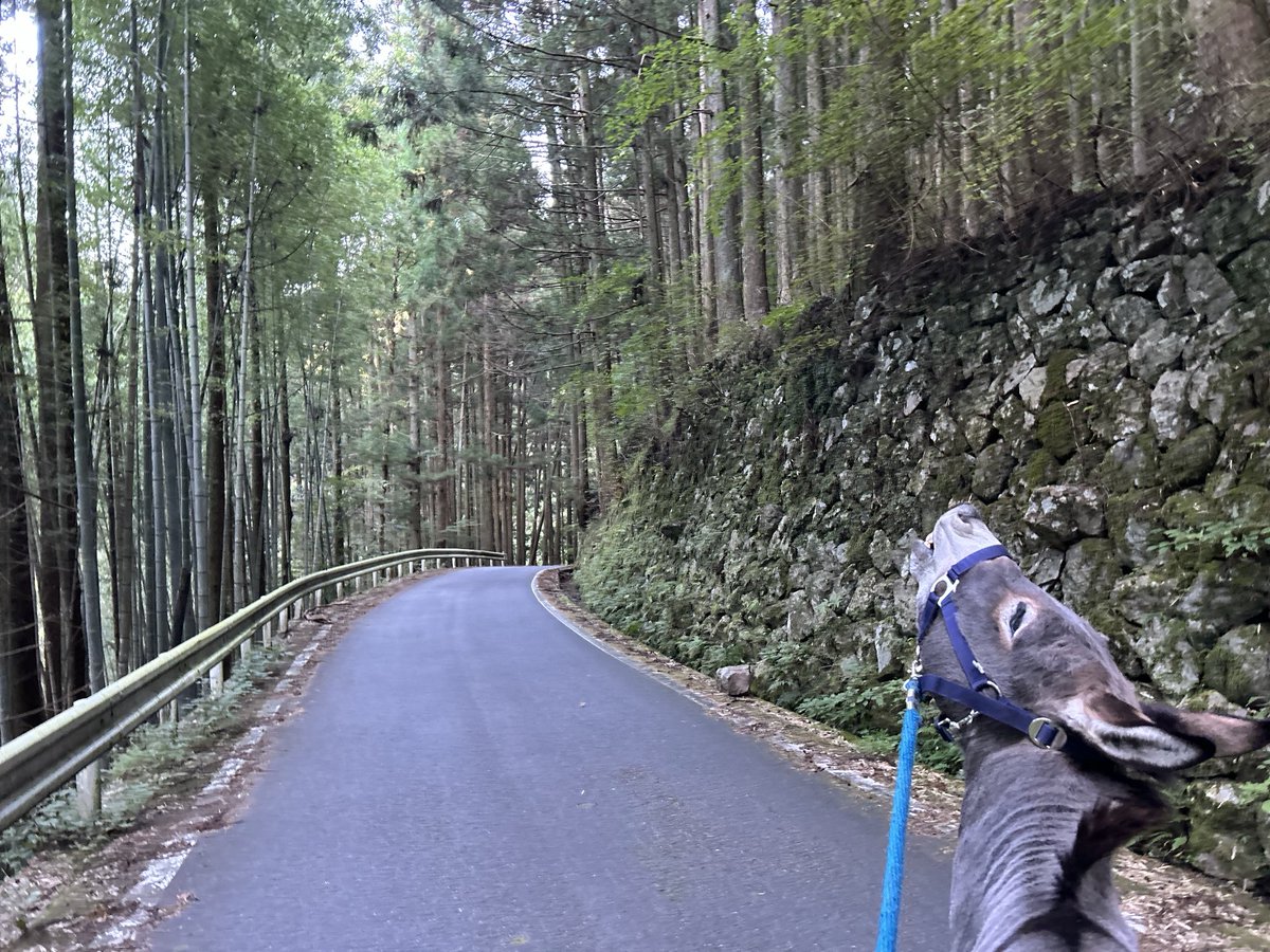 ラリックのロバです ラリックノロバデス