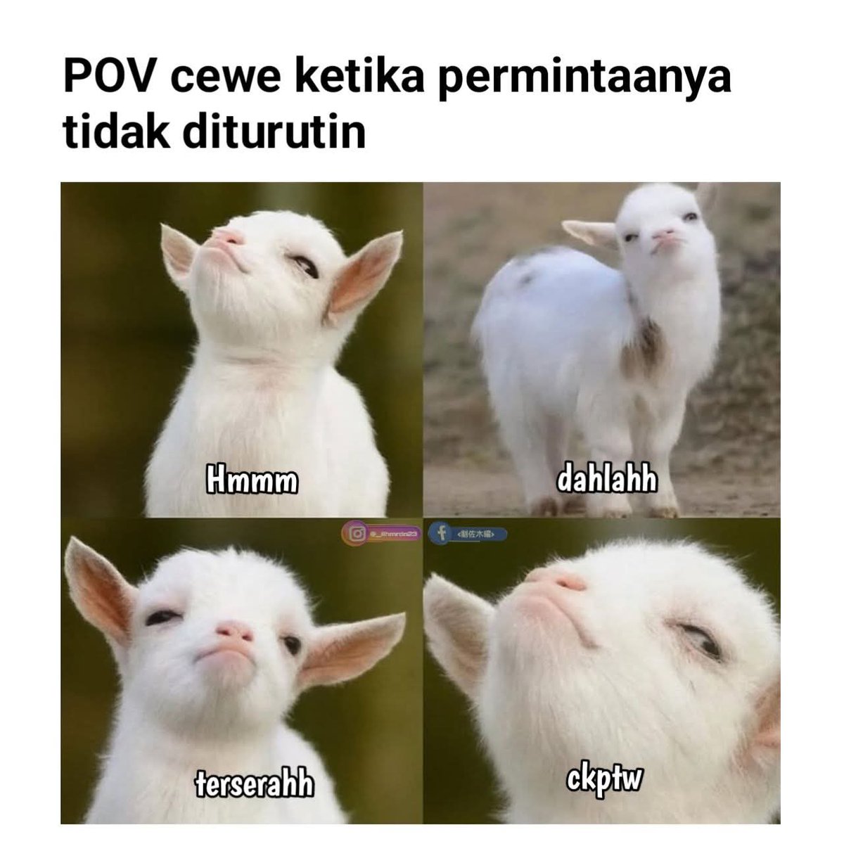 Bujang Tua (@stwdyntr) / Posts / X