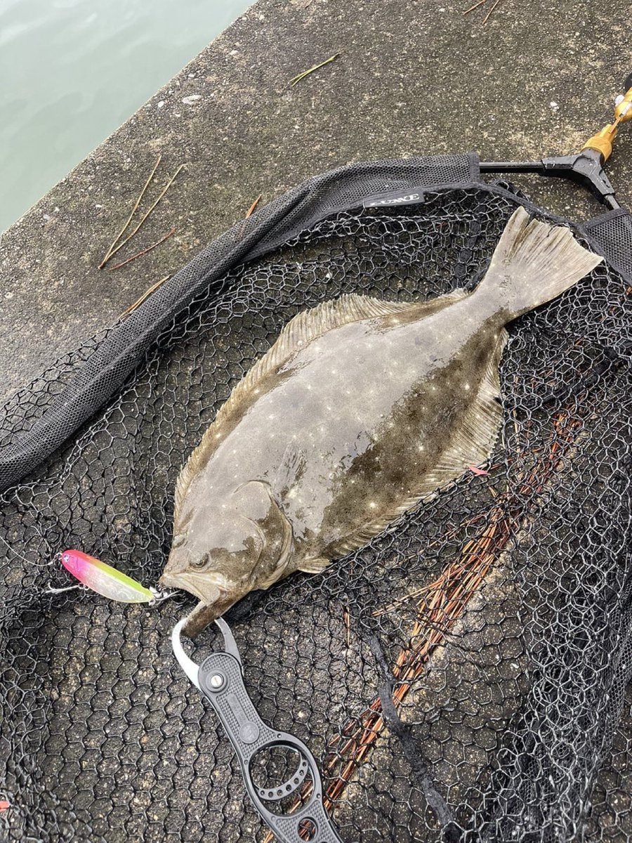 ひらめページ MsKさん on X