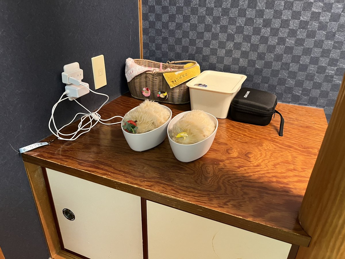 もふもふ🍓わたあめ。＆🍌ちょこばなな。 on X