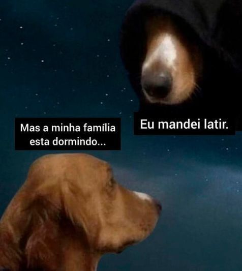 TerrorCotidiano's tweet photo. https://t.co/mHeMYz8rSg