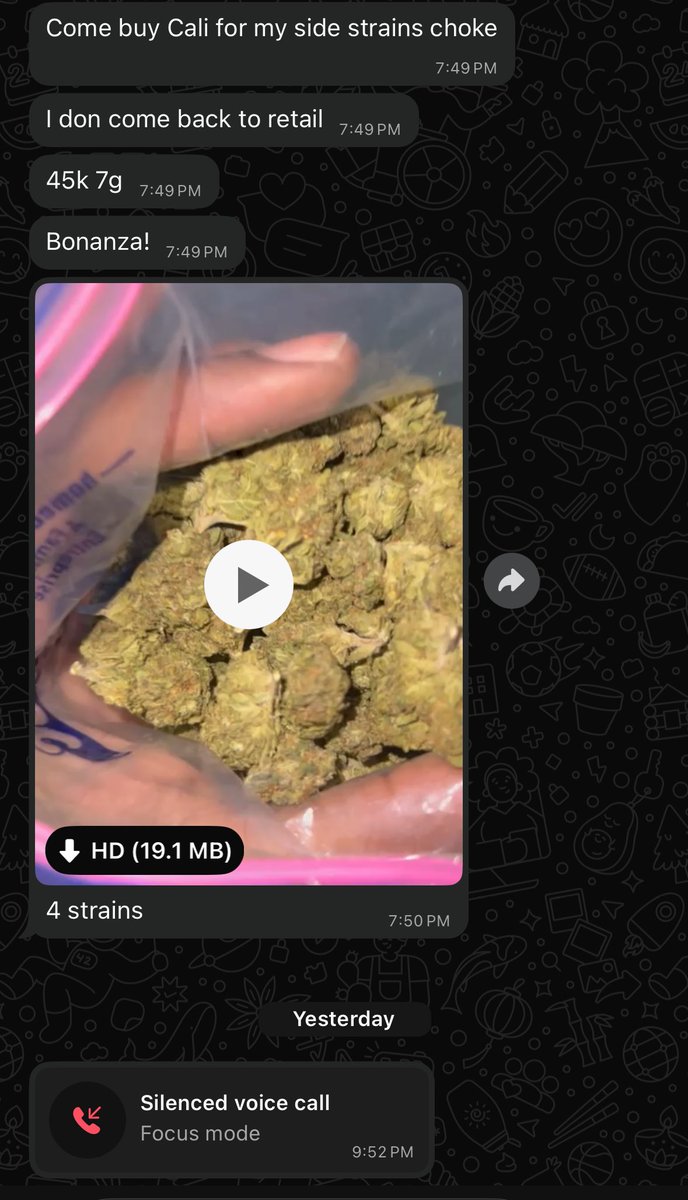 royzkingin's tweet image. The devil is working overtime