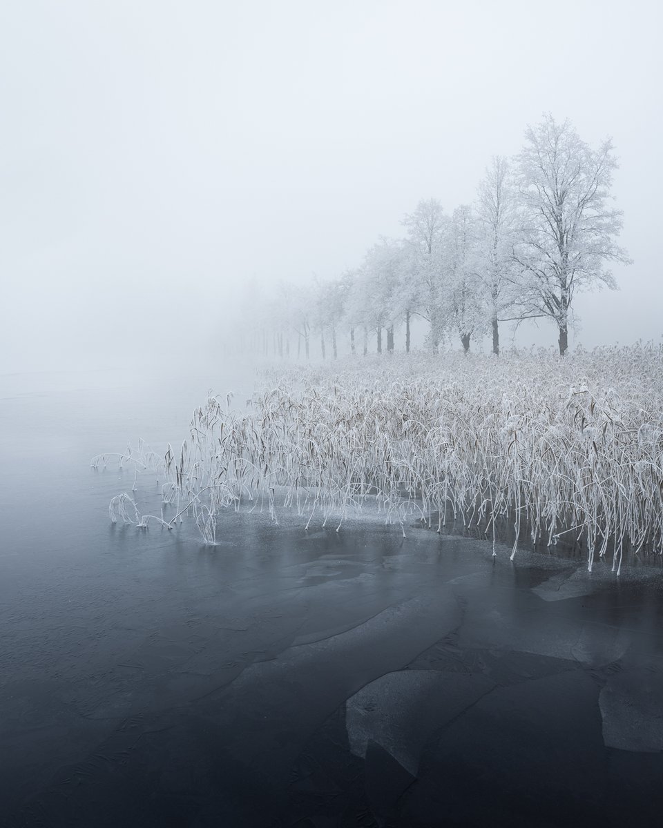 I remember standing at the edge of this frozen lake. The mist was thick, the silence absolute. It wasn't empty, though. There was a unique harmony in the way the frost held everything still, balanced between the ice and the air. Edge of Silence.