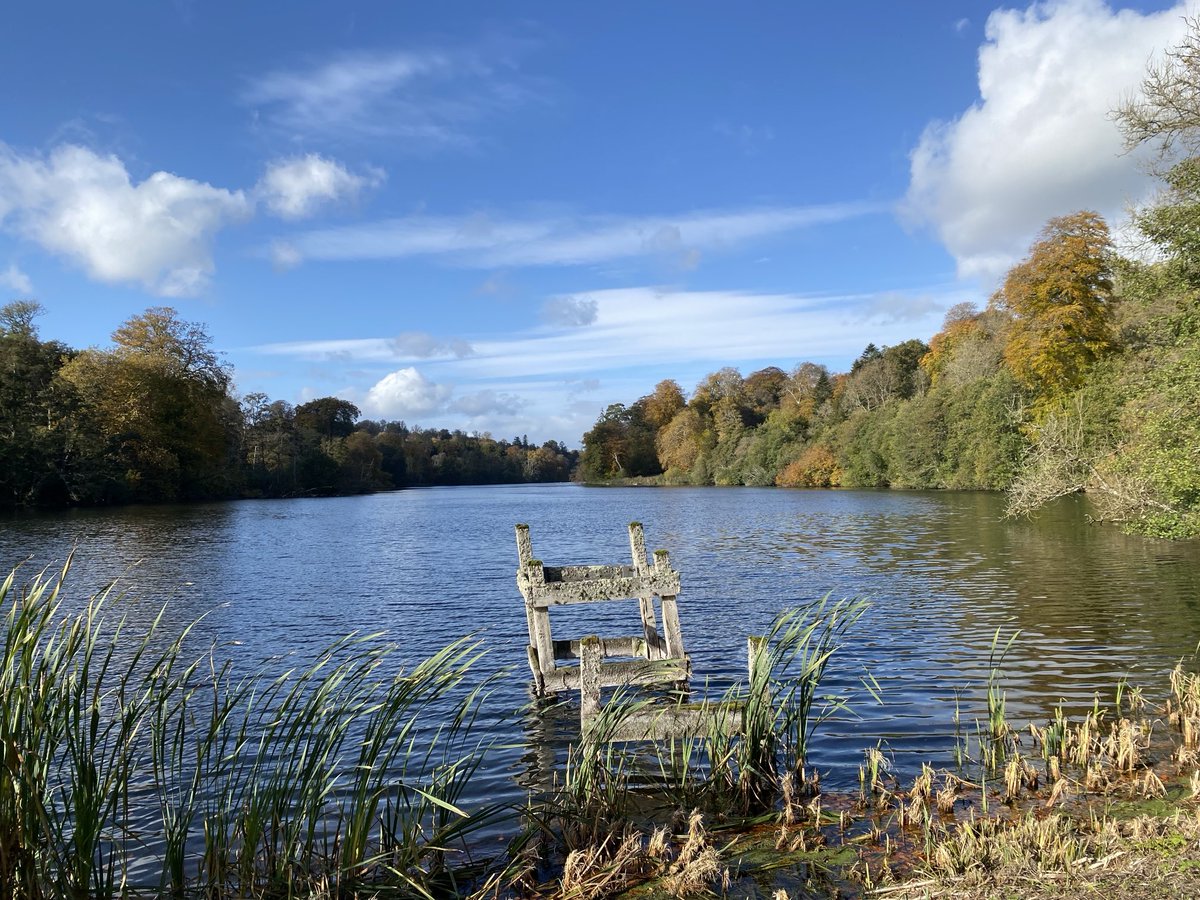 Autumn at Fonthill. #fonthill #tisbury #fonthilllake #wiltshire