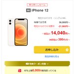 iPhone12Pro【すじこさん専用ページ】 iPhone12Pro【すじこさん専用ページ】 PLAY INNER SHEET