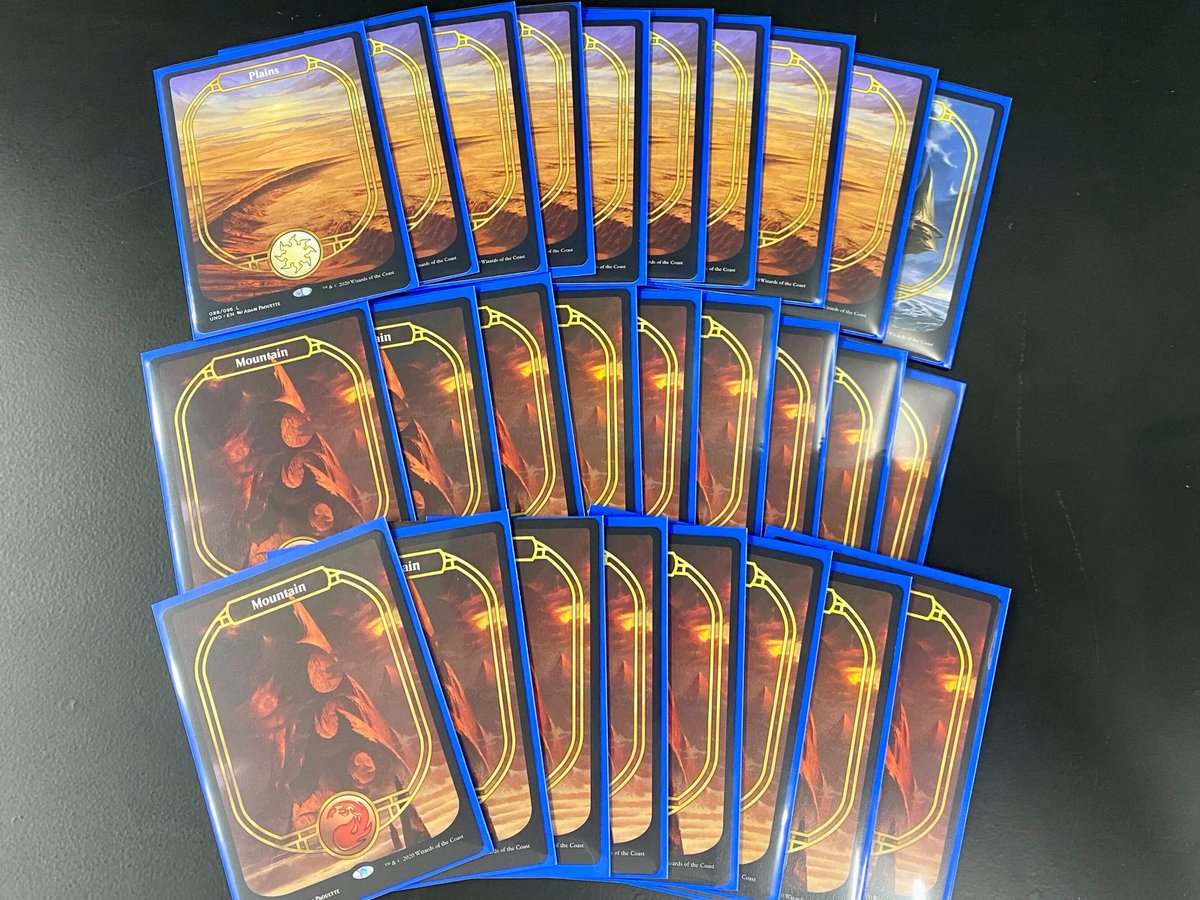 MTG 4枚 探検家タクタク サインド？ MTG 4枚 探検家タクタク サインド