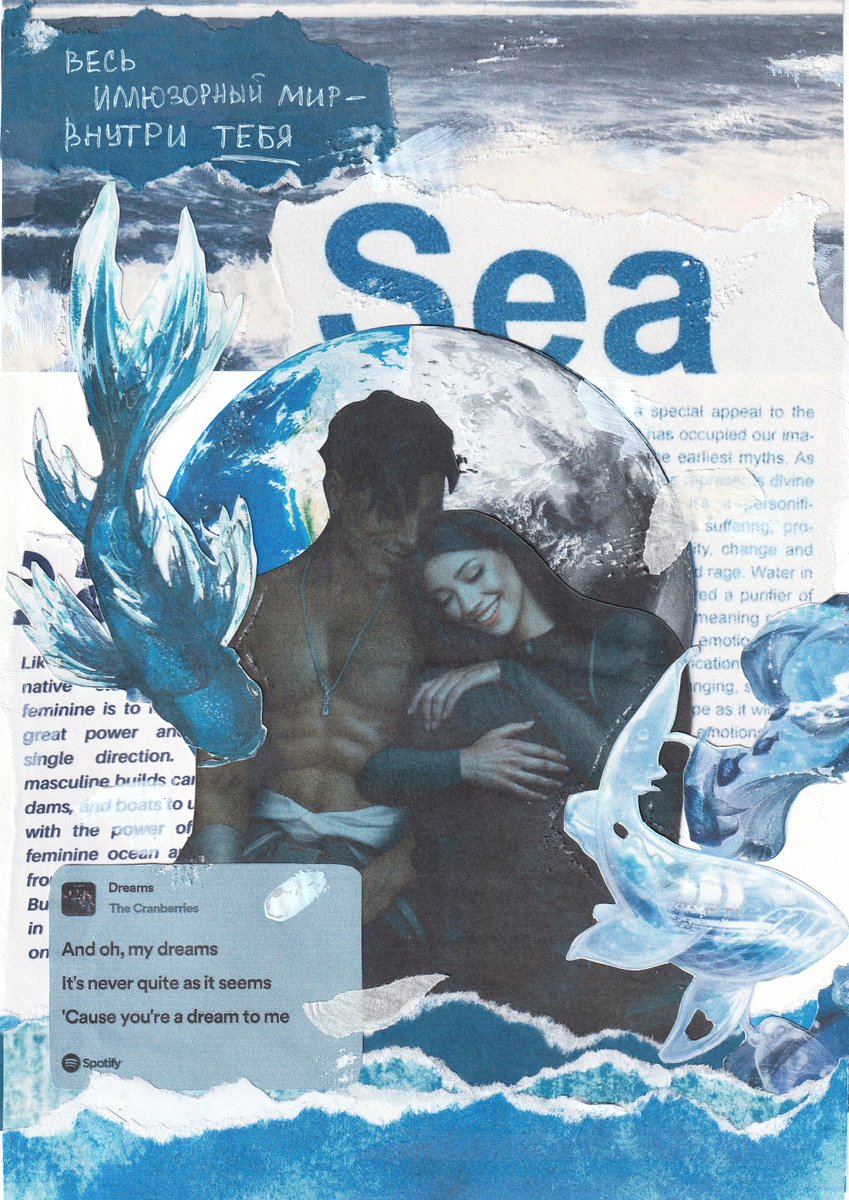 🩵🧸 tweet media