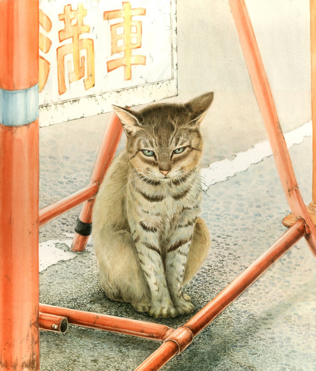 駐車場の猫　透明水彩で描いた作品です😼
#透明水彩 　#猫