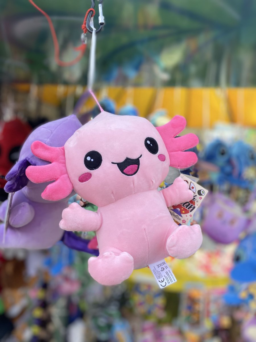 Sonia Zuccaro tweet media