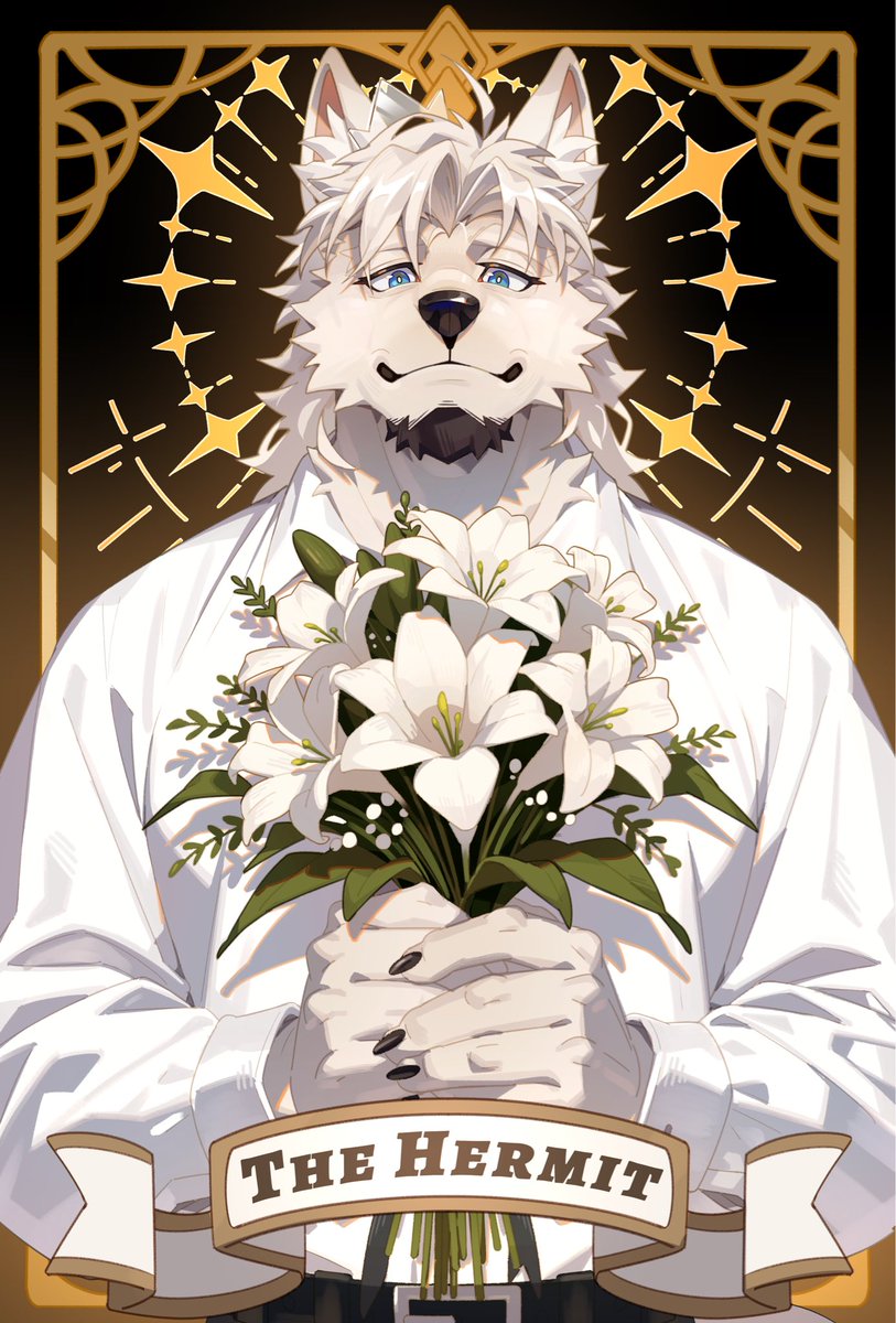 Heyder (@heyder_lagarde) on Twitter photo 