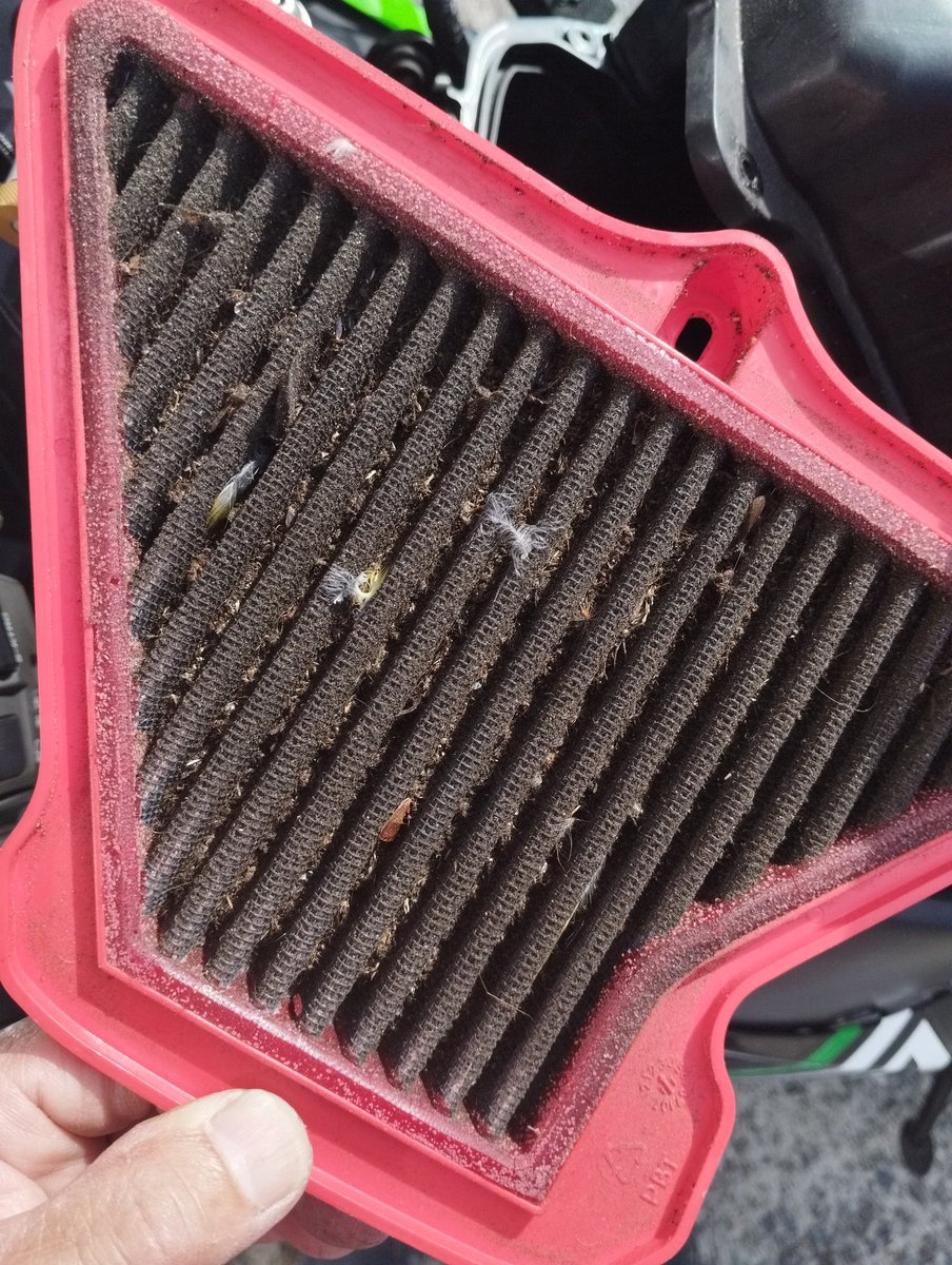 たそがれの小石 超爽快に】MONGOL800 