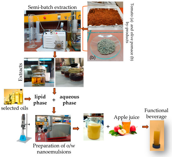 Applsci's tweet image. 📢 #highlycited paper
📚 #Bioaccessibility  and Stability Studies on #EncapsulatedPhenolics and #Carotenoids from  Olive and Tomato Pomace: Development of a #FunctionalFruitBeverage
🔗 mdpi.com/2076-3417/14/2…
👨‍🔬 by Maria Katsouli et al.   
🏫 @ntua
#shelf_lifestudies…