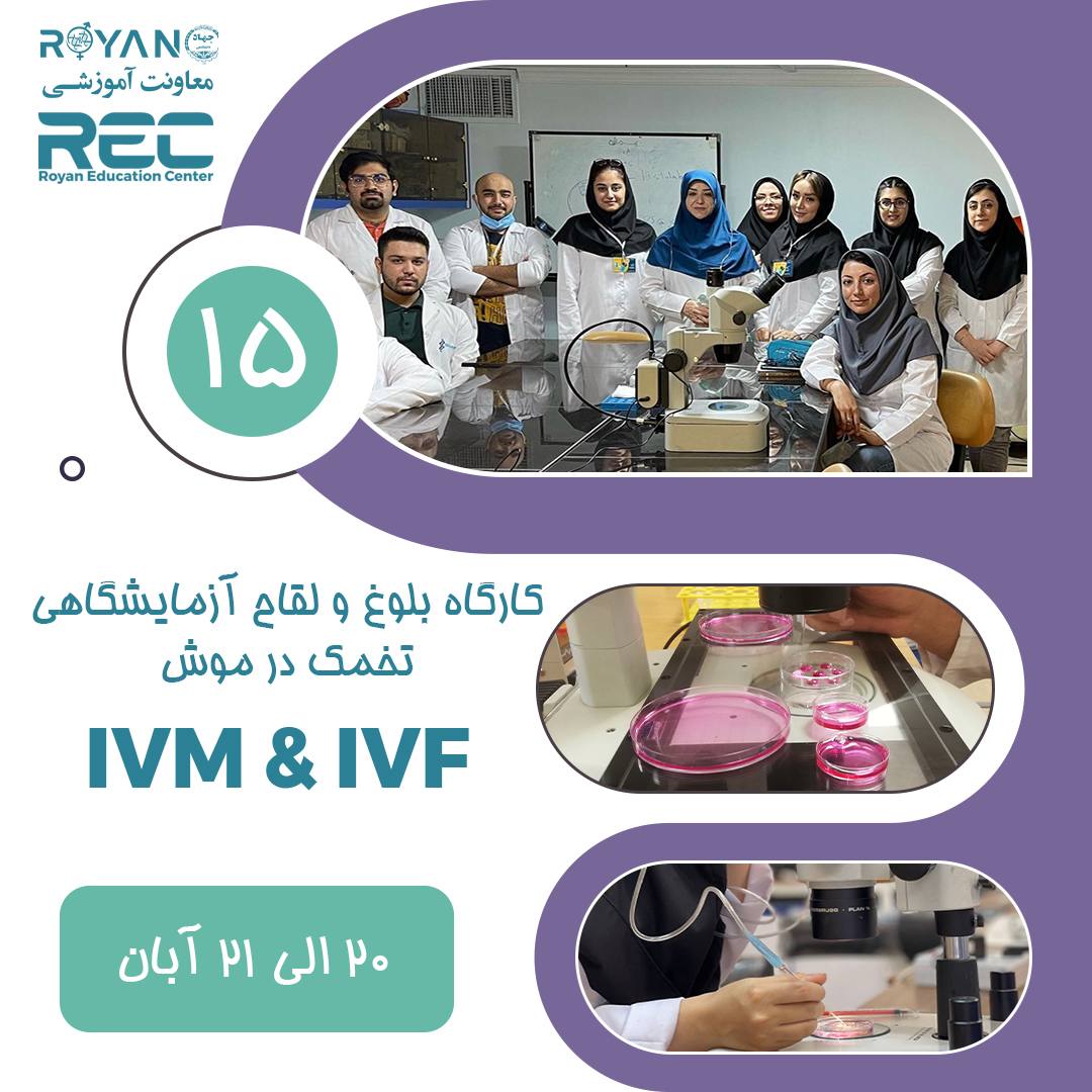 royan_edu's tweet photo. ⁨ .
🔬 کارگاه تخصصی لقاح خارج رحمی در موش (IVM &amp; IVF) 🧫

با ما همراه باشید در یک کارگاه عملی و آموزشی برای یادگیری گام‌به‌گام فرآیند بلوغ تخمک نابالغ، لقاح آزمایشگاهی و کشت جنین در موش ✨

📅 تاریخ برگزاری: ۲۰ و ۲۱ آبان ۱۴۰۴ https://t.co/Msc1DiuPdZ