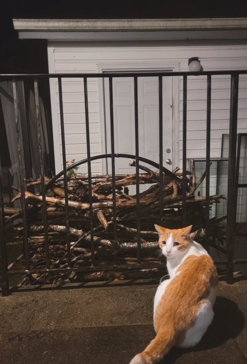 Having myself a very cozy rainy night :)