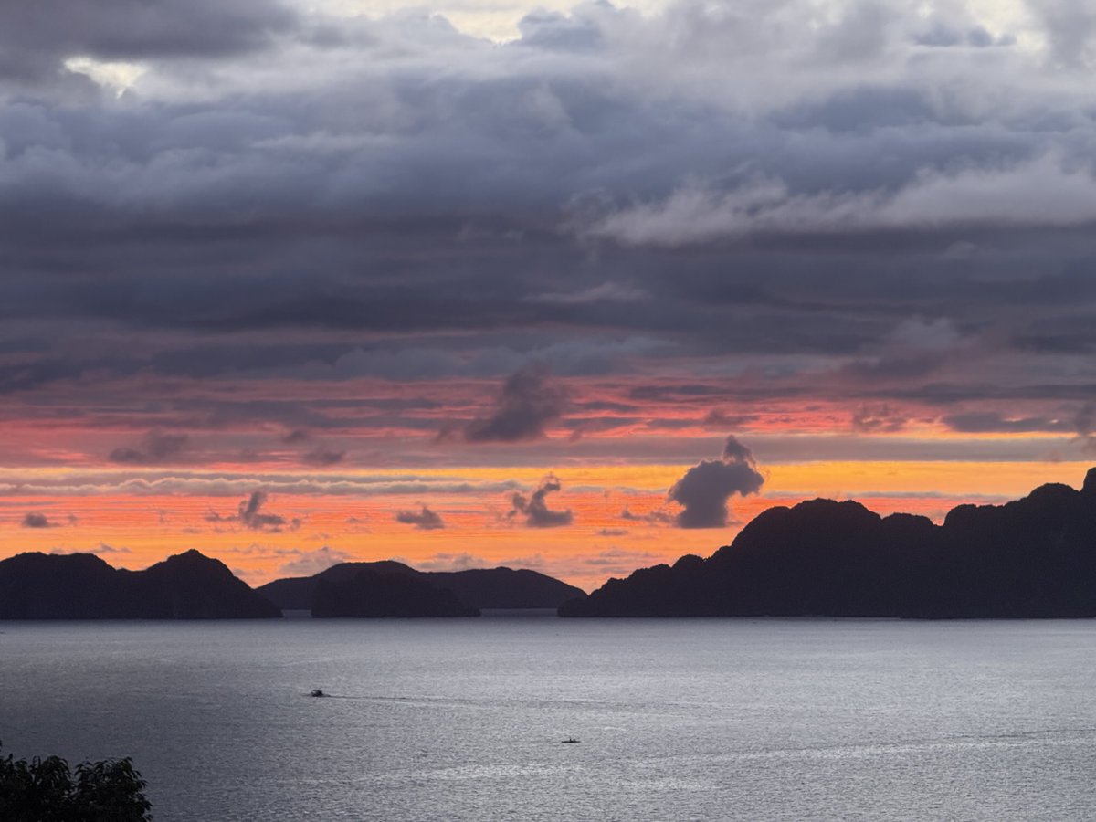 Heather Ewart tweet media