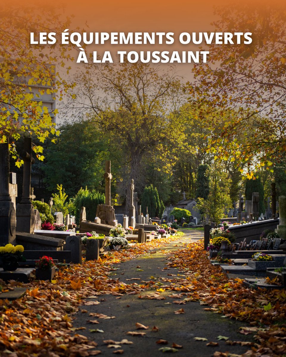 lillefrance's tweet image. 🍂 Que faire à la Toussaint ? Retrouvez les activités à Lille, les lieux ouverts et les horaires des cimetières.

Plus d&apos;infos :
▶︎ lille.pulse.ly/zxcfe0kc5j