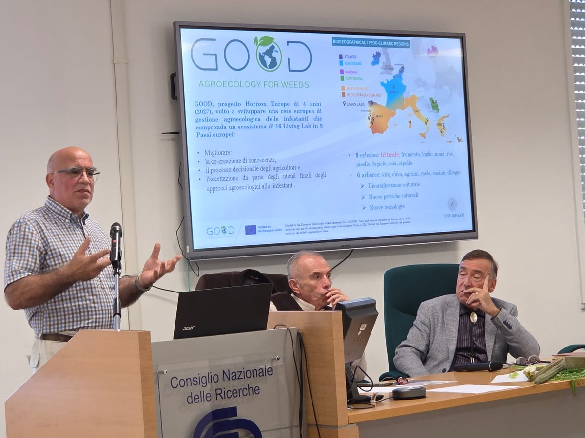 ProjectGood's tweet image. During the Moringa 4 Future Food event on October 16, the focus was on agronomic and nutritional benefits of Moringa oleifera for sheep feeding. The Good Project showcased agroecological weed management techniques. goodhorizon.eu  #AgroecologyIsGood  #GoodHorizon 🌱✨