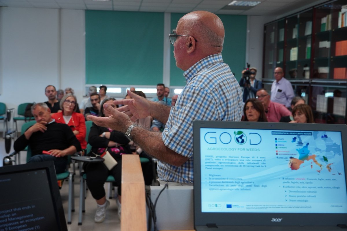 ProjectGood's tweet image. During the Moringa 4 Future Food event on October 16, the focus was on agronomic and nutritional benefits of Moringa oleifera for sheep feeding. The Good Project showcased agroecological weed management techniques. goodhorizon.eu  #AgroecologyIsGood  #GoodHorizon 🌱✨