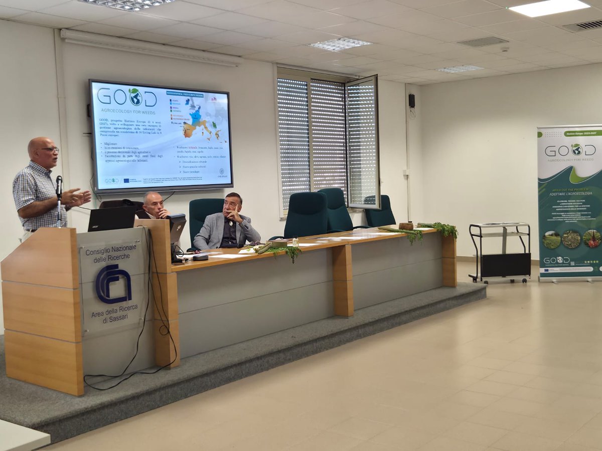 ProjectGood's tweet image. During the Moringa 4 Future Food event on October 16, the focus was on agronomic and nutritional benefits of Moringa oleifera for sheep feeding. The Good Project showcased agroecological weed management techniques. goodhorizon.eu  #AgroecologyIsGood  #GoodHorizon 🌱✨