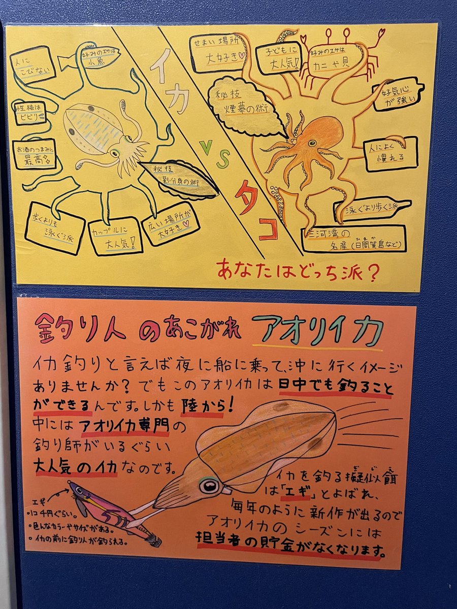 _ika__squid's tweet photo. 日曜日に竹島水族館のイカ展と深海魚まつりに行ってきました〜🦑

最近買ったイカに捕食されているハチワレと共に

#イカ展
#がまごおり深海魚まつり https://t.co/rsKDPukBGP