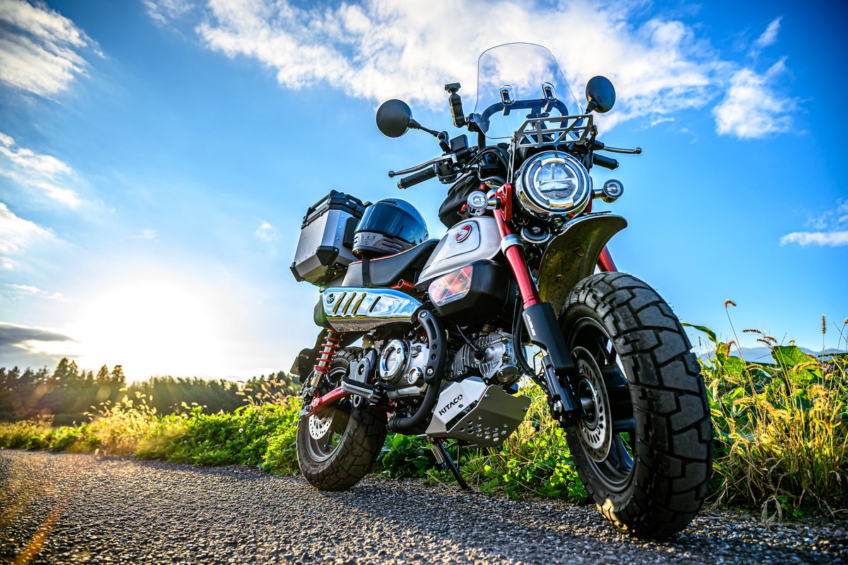 ☆MONKEY☆ 40126.jpg?v=1719265599&width=1206