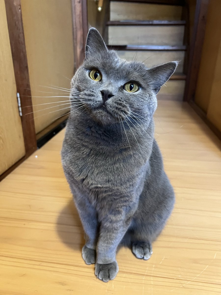 そうねこ❁⃘ページ latest?cb=20240430175054&path-