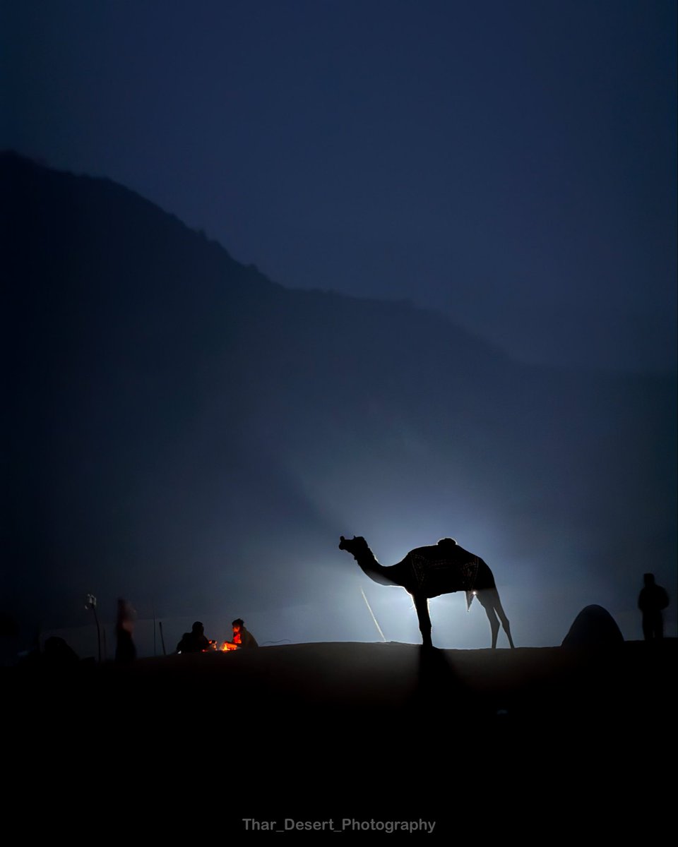 पुष्कर मेले की यह शानदार तस्वीर ली गईं है मोबाइल के कैमरे से।
<a href="/thardesertphoto/">Thar_Desert_Photography</a> शानदार