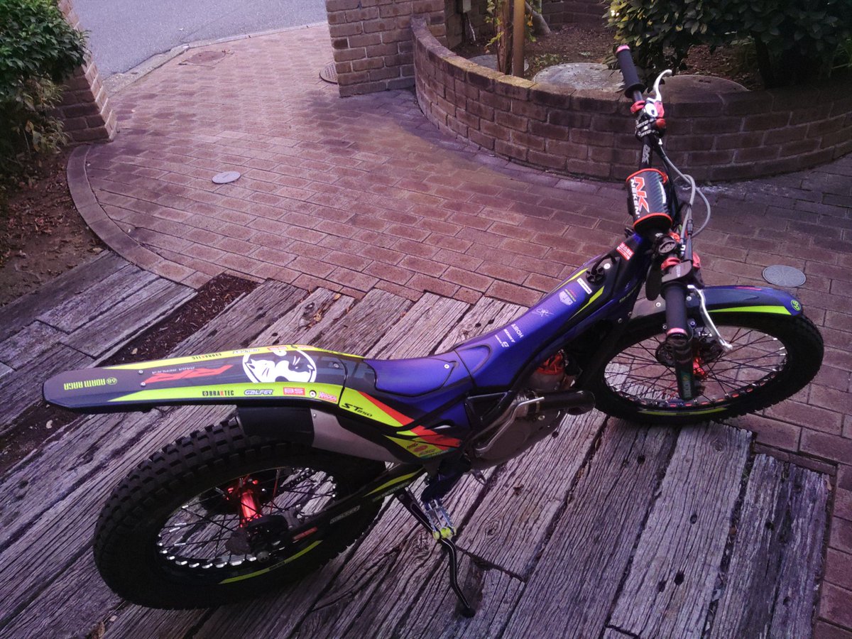 おくのってぃー様 森x猫 (@3810to) / Posts / X