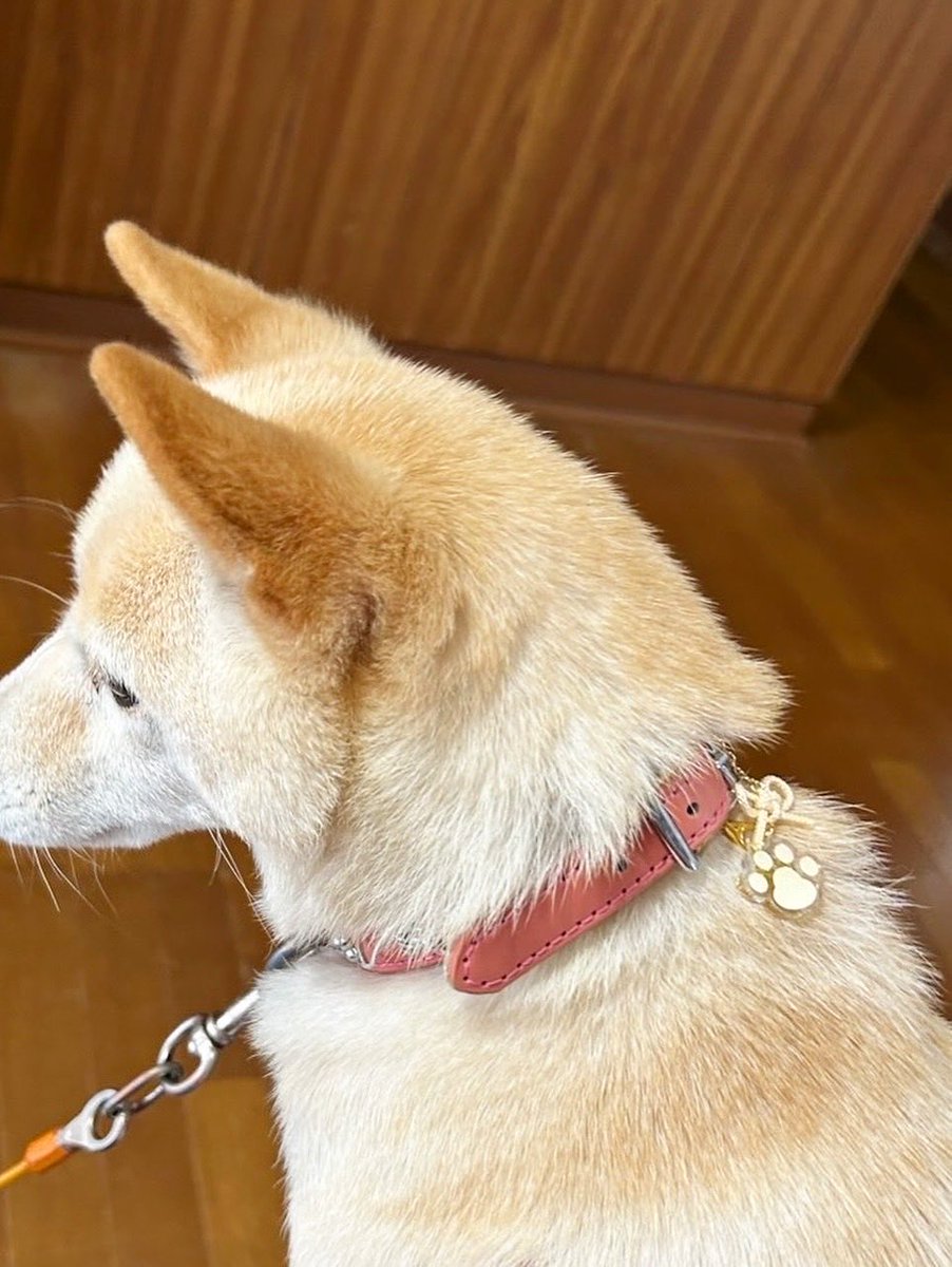 福島八幡宮【公式】 on X