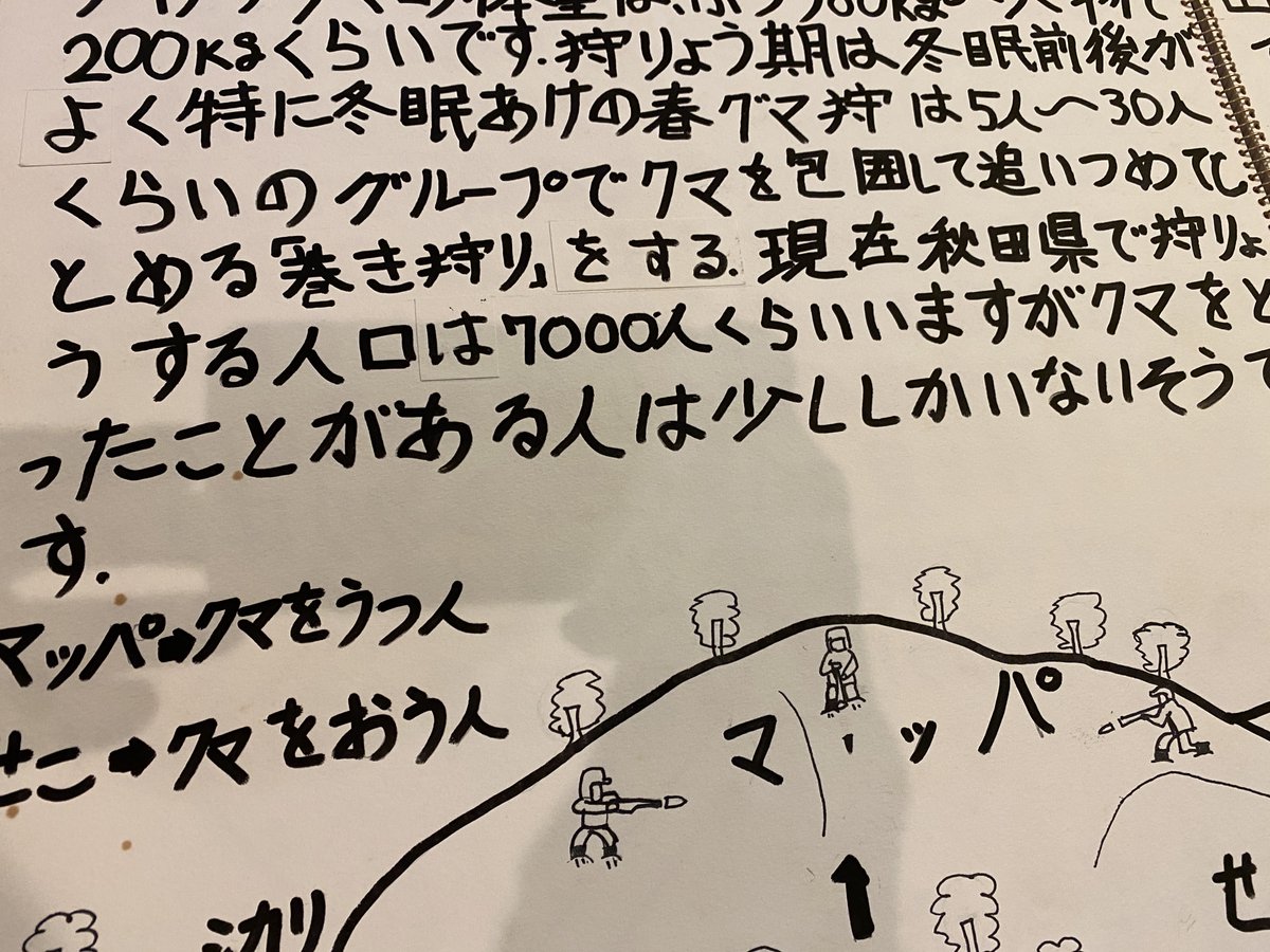 Komatsucraft's tweet photo. 約40年前、小学5年生の夏休みに「阿仁マタギの研究」をやった。当時、聞き取りをさせていただいた打当マタギのシカリ（頭領）の鈴木さんが「クマがいない」とおっしゃっていた記憶があり、久々に読み返したところ、やはり「山に動物が少ない」「クマを撃ったことがある人は少ない」と記録されていた。 https://t.co/kdUdEJVh2n