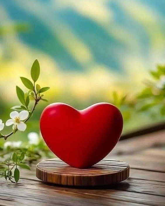 #ملک_پرموشن
ProMo⭐
<a href="/01Mllik/">𝙈𝘼𝙇𝙄𝙆 𝙅𝙄💫💙</a> <a href="/01rshd/">ارشـــد مــلــک❤️</a>
<a href="/1Arshii/">𝓐𝓻𝓼𝓱𝓲𝓪 🌸💫</a> <a href="/1arshd/">𝗔𝗿𝘀𝗵𝗱 𝗠𝗹𝗶𝗸💫👑</a>
<a href="/sehr_ik/">سحر ملک 🦋🦋</a> <a href="/11iasd/">Ali Asad</a>
<a href="/1mna11/">آمنہ ملک 🇸🇦</a>
<a href="/1Sehar_/">𝐒ҽԋαʀ 👑</a>
<a href="/1Mah1i/">🦋ماہی ملک 🦋</a>
<a href="/jst_4rU/">ßιℓαℓ🎭</a>
<a href="/Hfn08/">𝐻𝒶𝓂𝓃𝒶 𝒦𝒽𝒶𝓃 ✨️</a>
<a href="/1mskn/">🦋مسکان ملک 🦋</a>
<a href="/Ghz35/">🇬 🇭 🇦 🇿 🇦 🇱 🇦 🇭</a>
<a href="/ze_kh1/">ȥҽҽ❤︎</a>
<a href="/Pir_80/">Pir Shb</a>
<a href="/8L_04/">Lubna Malik</a>
<a href="/guljnt/">گُل جنت🌷</a>
<a href="/1yus_f/">یـوسـف✨</a>
<a href="/_zak8/">Zaid Ahmed Khan</a>
<a href="/1Lvz0/">𝐿𝒶v𝑒𝑒𝓏𝒶_🍃</a>
<a href="/1z_K8/">ZK</a>
<a href="/1shobii/">𝒮𝒽ℴ𝒶𝒾𝒷</a>
<a href="/1Ansha/">ANISHA CH💫🦋</a>
<a href="/ek_804/">Esha Khan</a>
<a href="/_NM40/">Nabeel Zaffar</a>
<a href="/shZ447/">🌻🌻🌻𝕊𝕙𝕒𝕙𝕫𝕒𝕕 𝕄𝕦𝕟𝕚𝕣🌻🌻🌻</a>
<a href="/bndy66/">khawaja ASÃD</a>
<a href="/Hurain_5/">Hurain 💞حورین</a>
<a href="/cricfan56/">Noor kakar</a>
<a href="/Haris_943/">Haris PTI ᵀᶠᴸᵂ</a>
<a href="/1sehr_/">𝐈𝐭'𝐬 𝐌𝐞 👑</a> <a href="/_zb_0/">💞زیـنبــــ💞</a>