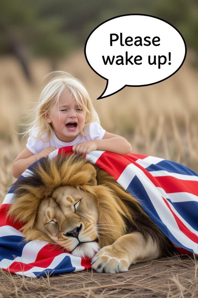 Tom Hudson tweet media