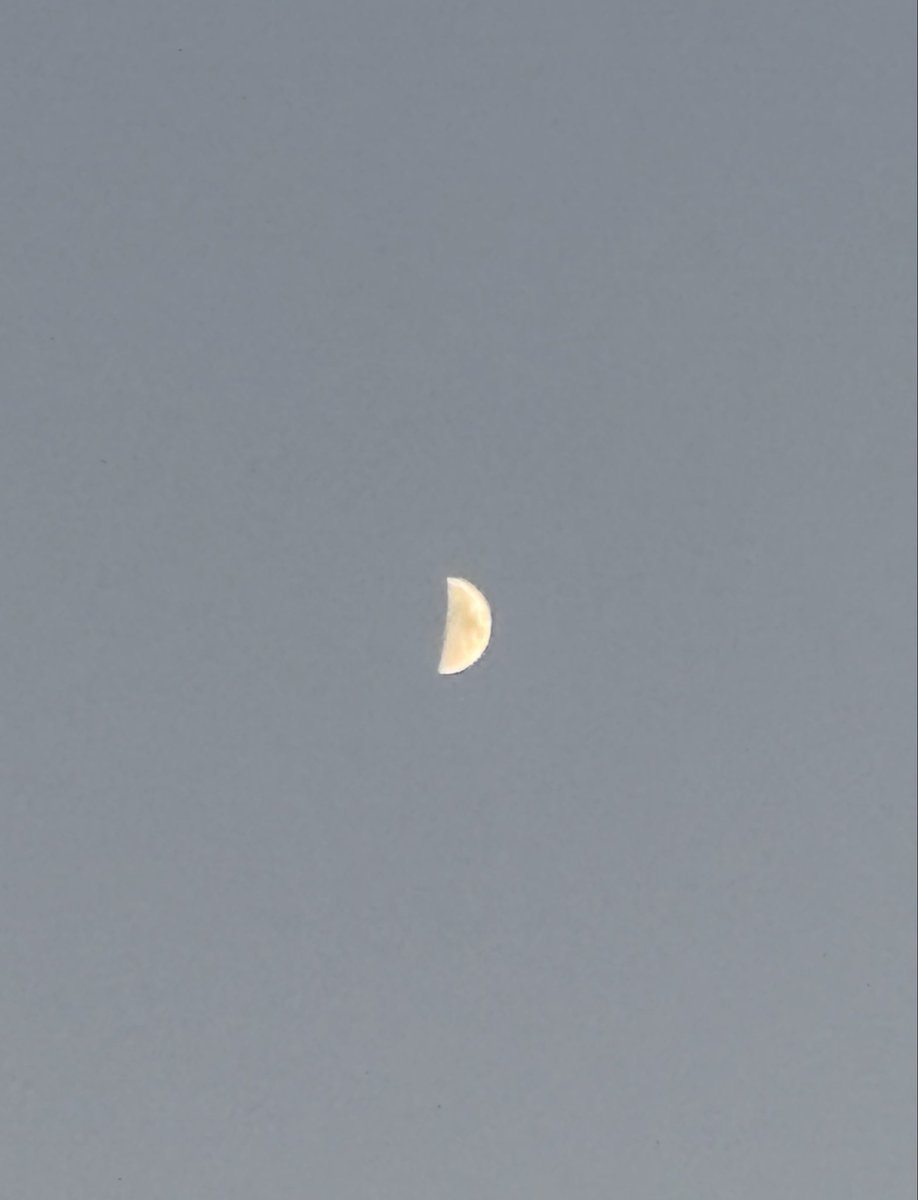 ホワイトムーン on X