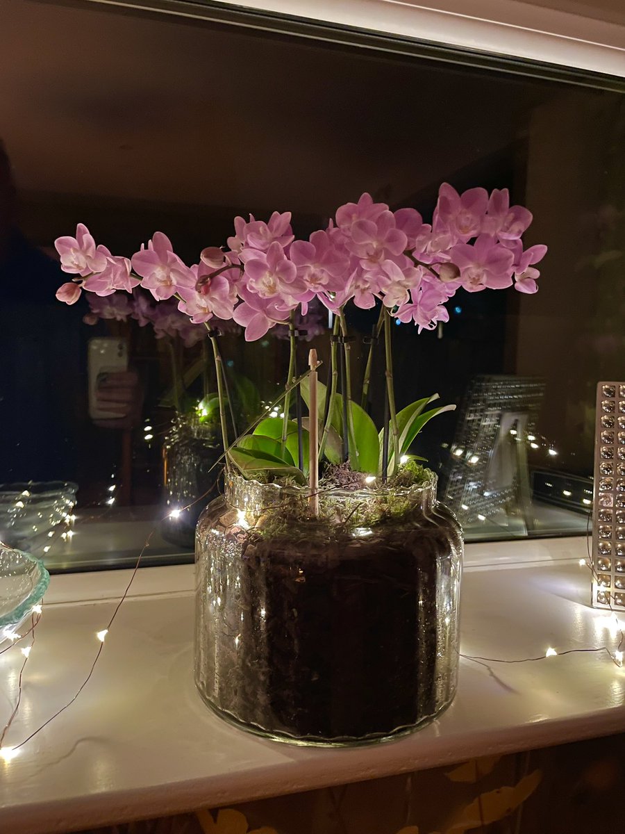 Stifyn1's tweet image. Fancy #adre #fancy #naturephotography #lounge #october #wednesday #autumn