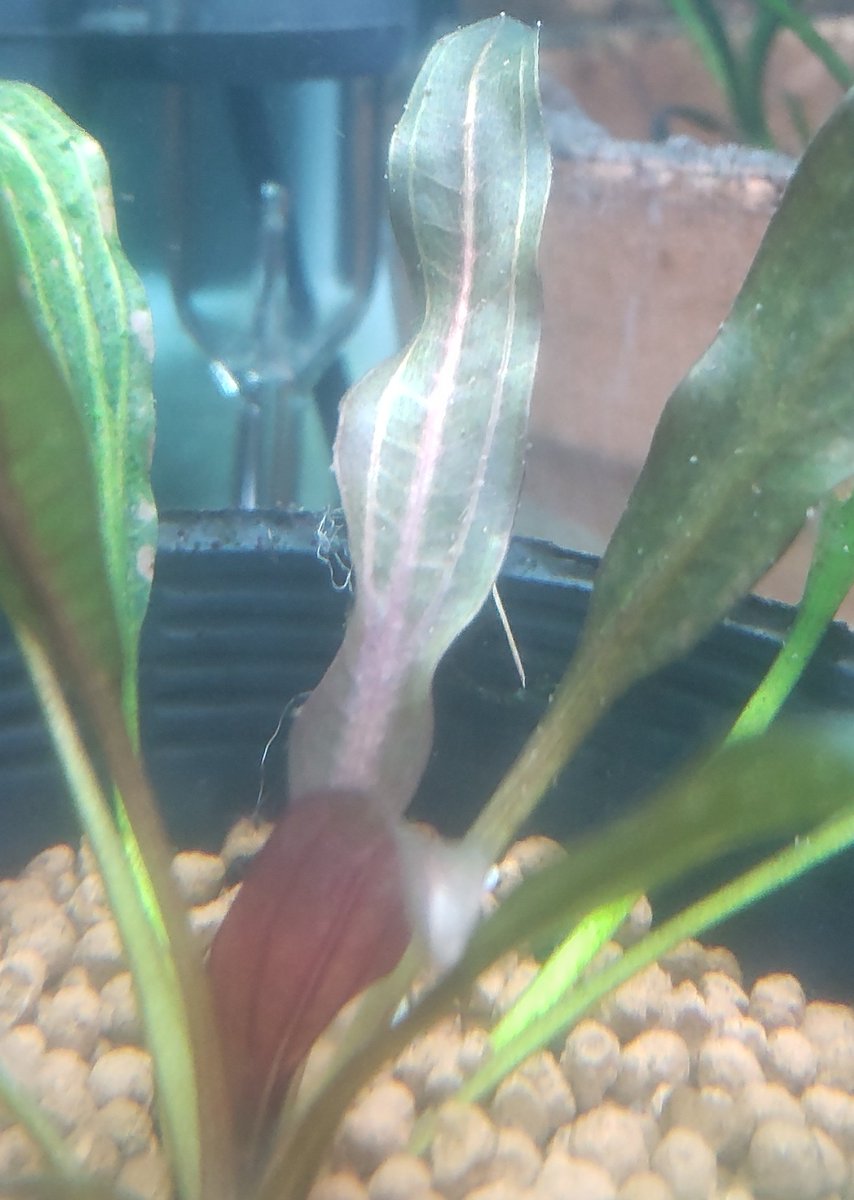 KENZO (@fw_kenzo) / Posts / X