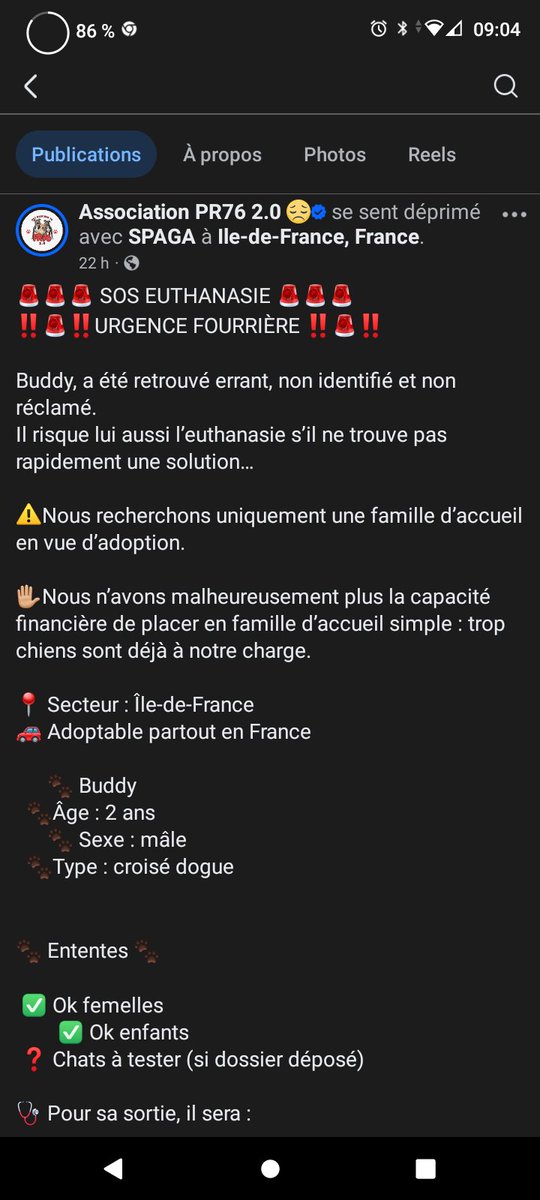 20320Vero's tweet photo. SOS Euthanasie ⚠️⚠️ Fourrière en Ile de France ⚠️⚠️🚨 Il fend le cœur ce magnifique Buddy 💔 Recherche famille en vu d'adoption sur la France entière pour lui sauver la vie ⚠️⚠️⚠️Asso PR76 2.0 Merci de partager en masse ⚠️ https://t.co/1MtthYjuK0 https://t.co/ijMdLIyG7U