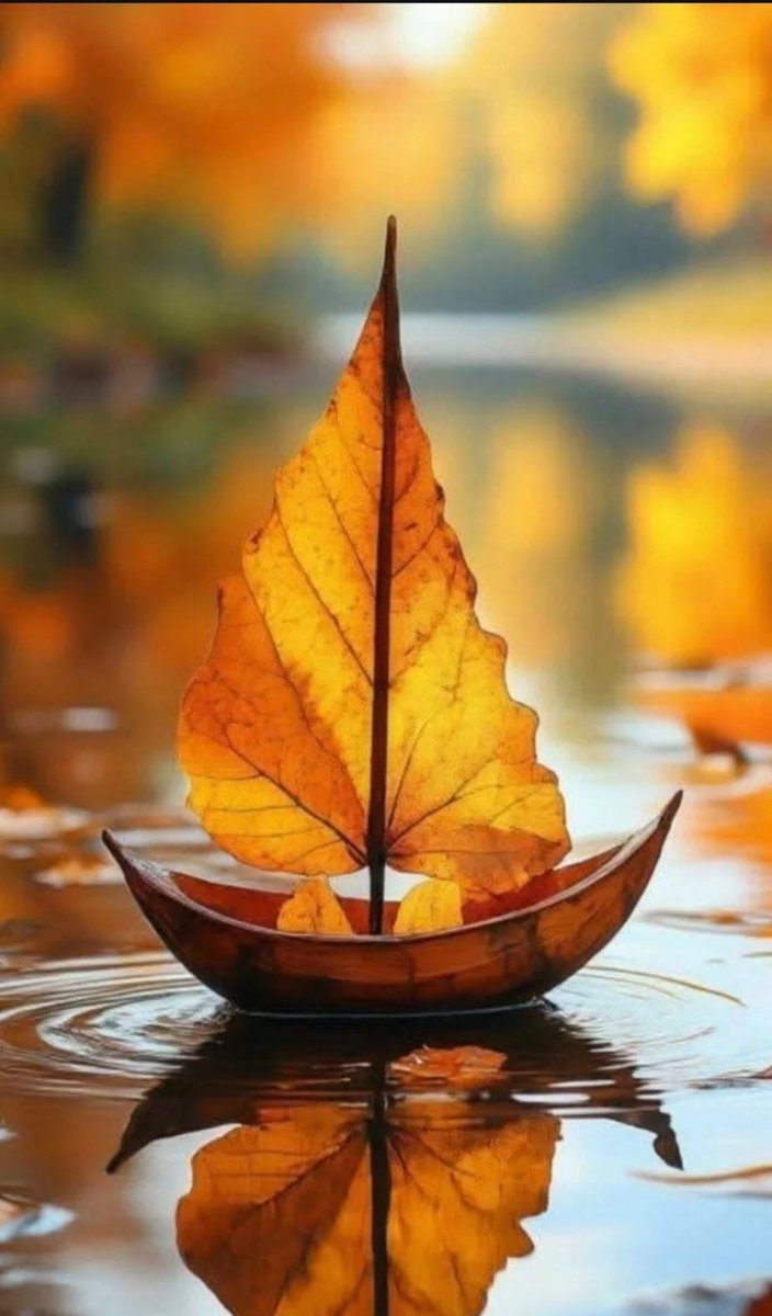 Ogni battito racconta di noi,
di come stiamo al mondo:
se navighiamo distratti 
o ci lasciamo condurre dal cuore! 

#ilCuoreParla   #VentagliDiParole